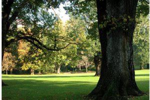 安徽合肥花卉示范园设计方案