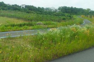 重庆十里香耕农业园总体规划