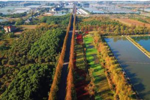 太仓市现代农业产业示范园总体规划