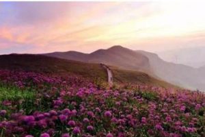 神池现代农业产业示范区总体规划