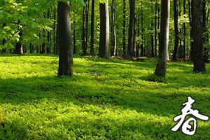 盐城生态高效农业示范园