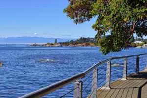 林芝汽车营地主题公园旅游总体规划