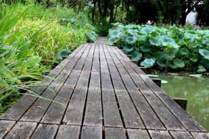 西旸镇旅游总体规划暨浙南飞行运动小镇总体规划（飞行营地）