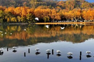 现代生态旅游度假区规划设计方案