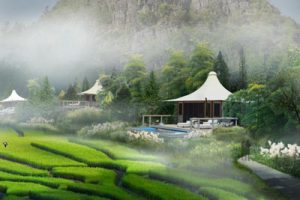 云南普者黑星空营地概念性规划（汇报稿）