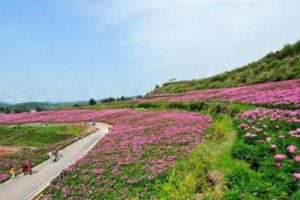 鸡冠山景区修建性详细规划方案