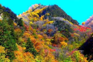 剑阁县绿创康养文化乡村旅游产业园概念规划方案