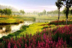 辛女国汽车营地规划方案