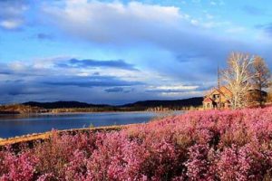 呼伦贝尔大兴安岭汽车营地规划