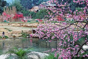 旅游度假村-古城自驾营地众筹商业计划