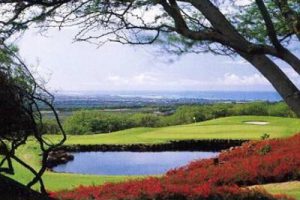 提取自天津大学森林建康城总体概念规划