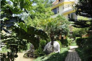 青龙峡养生养老地产经典研究报告