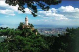 蓟县健康养生园区总体概念规划