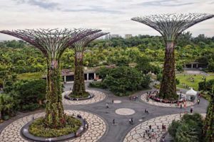 深圳梅岭公园景观提升改造