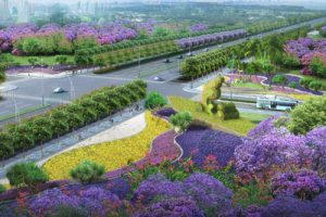 湛江海东快线绿化景观概念性设计方案