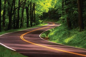 武汉东湖绿道二期景观设计