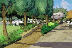 苏通科技产业园首期道路景观设计