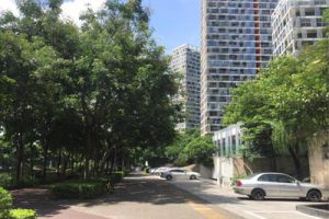 梅龙大道（梅林关至布龙路）景观提升工程