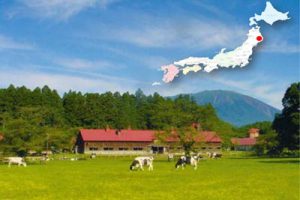 山西大同火山群概念性旅游总体规划