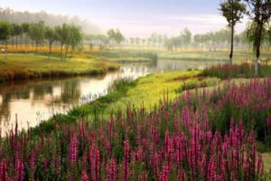 吴江盛泽西部新城道路及内河景观优化方案