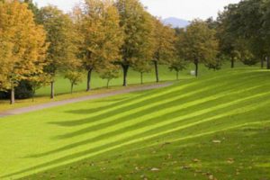 绿地济南国际花都市政绿化带景观概念设计
