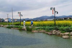 宁波南头村美丽乡村景观提升规划