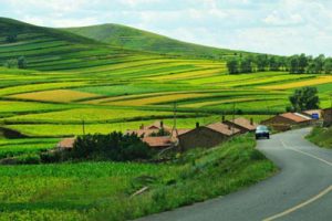 金山岭道路景观规划
