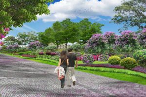 观光路综合整治工程-勘察、设计、施工项目总承包