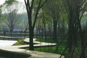 昆山红旗路沿线景观设计