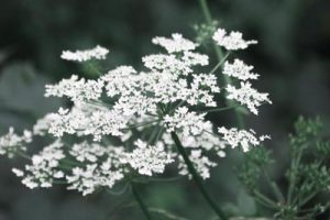 北京松山旅游规划