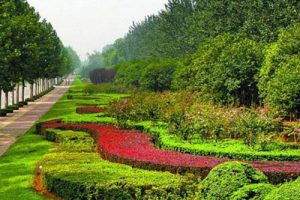 开封新区运粮河项目绿化带景观设计