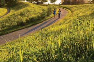 武汉东湖森林公园初步概念设计