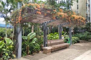 福荣绿道（上沙中学至滨河大道）工程设计