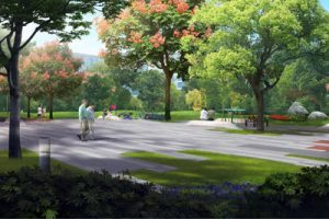 方兴大道绿化提升工程