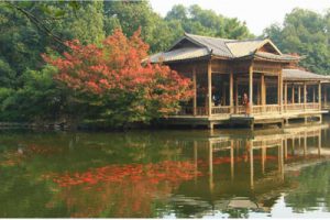 卢氏县双槐树乡旅游节点修建性详细规划