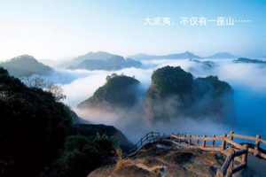 大武夷旅游发展创新规划