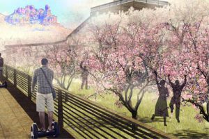 鸡冠山四季康养旅游度假区开发策略