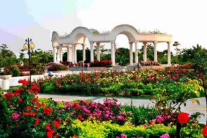 延安大枣园文化旅游产业集聚区总体规划项目