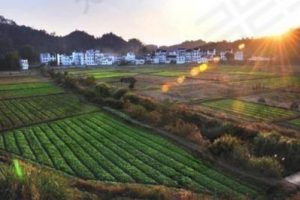 江苏·徐州贾汪区大洞山风景旅游区总体规划