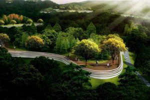 福建三明市植物园总体规划方案