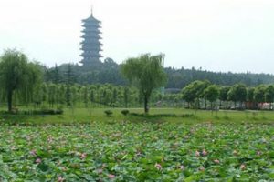 宜兴植物园景观概念规划