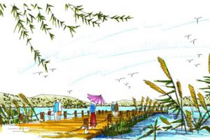 湛江东坡荔园修建性详细规划