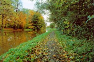 苏州白塘植物公园概念设计方案