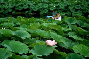 珠海平沙新城中心公园景观设计