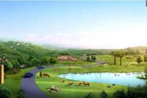 北京野生动物园升级改造自驾散放区项目