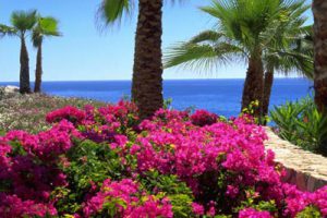 龙沐湾国际旅游度假区景观规划设计方案