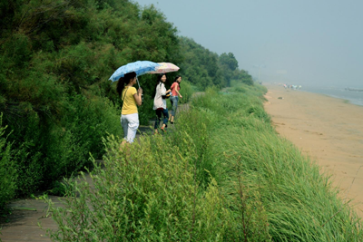 大连小窑湾国际商务区景观概念规划设计