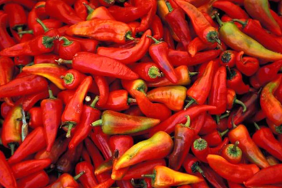 北京世纪华侨城欢乐森林生态公园玛雅区景观方案