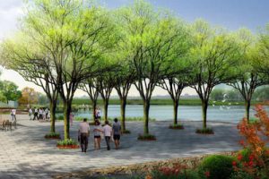 天津生态城-蓟运河故道水岸起步区景观设计