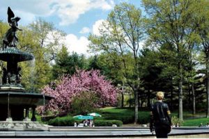 诸暨陶朱山公园景观方案深化设计及浣江公园景观改造概念方案